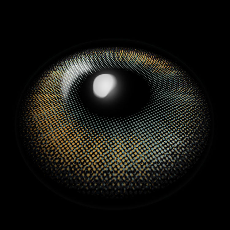 Topaz Gray Rarest Colored Contact Lenses 3D Display